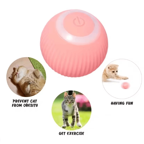 https://static.hzpdex.com/product/20240807/bc2482bd-0e26-4169-a2ef-c5c17e23d76b.png